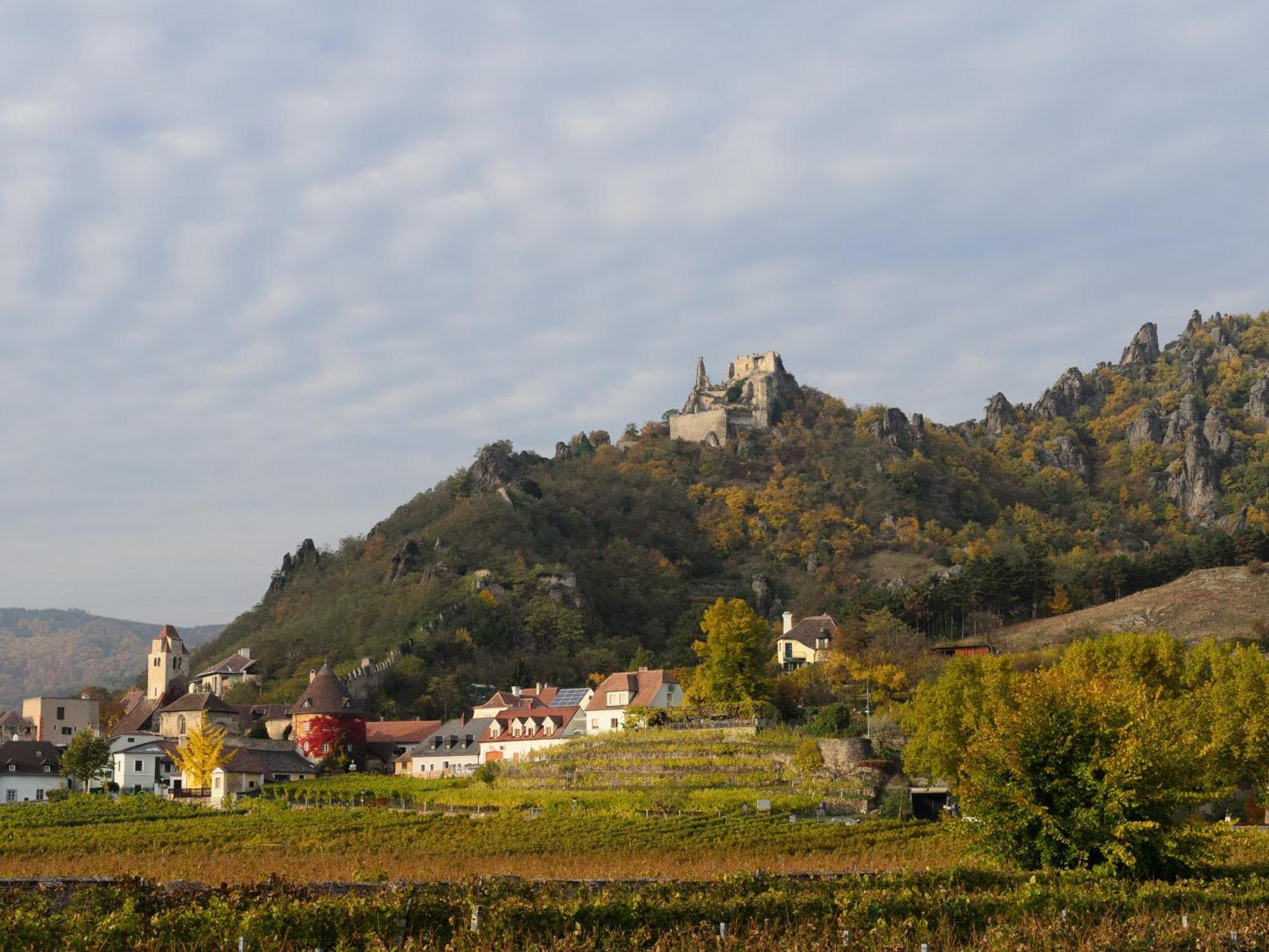 Ferienwohnung Weinbergblick Rohrendorf bei Krems Exteriér fotografie