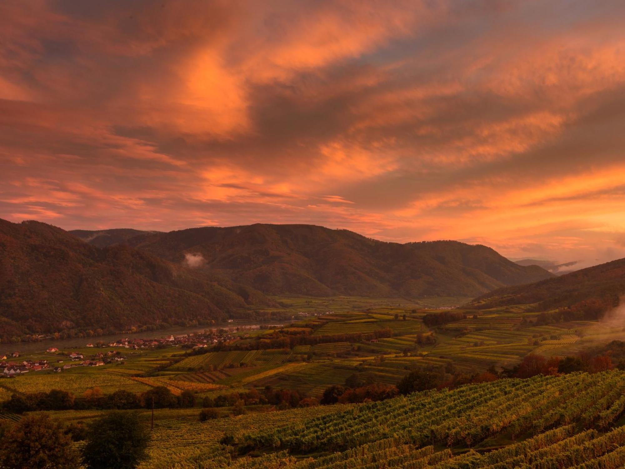 Ferienwohnung Weinbergblick Rohrendorf bei Krems Exteriér fotografie