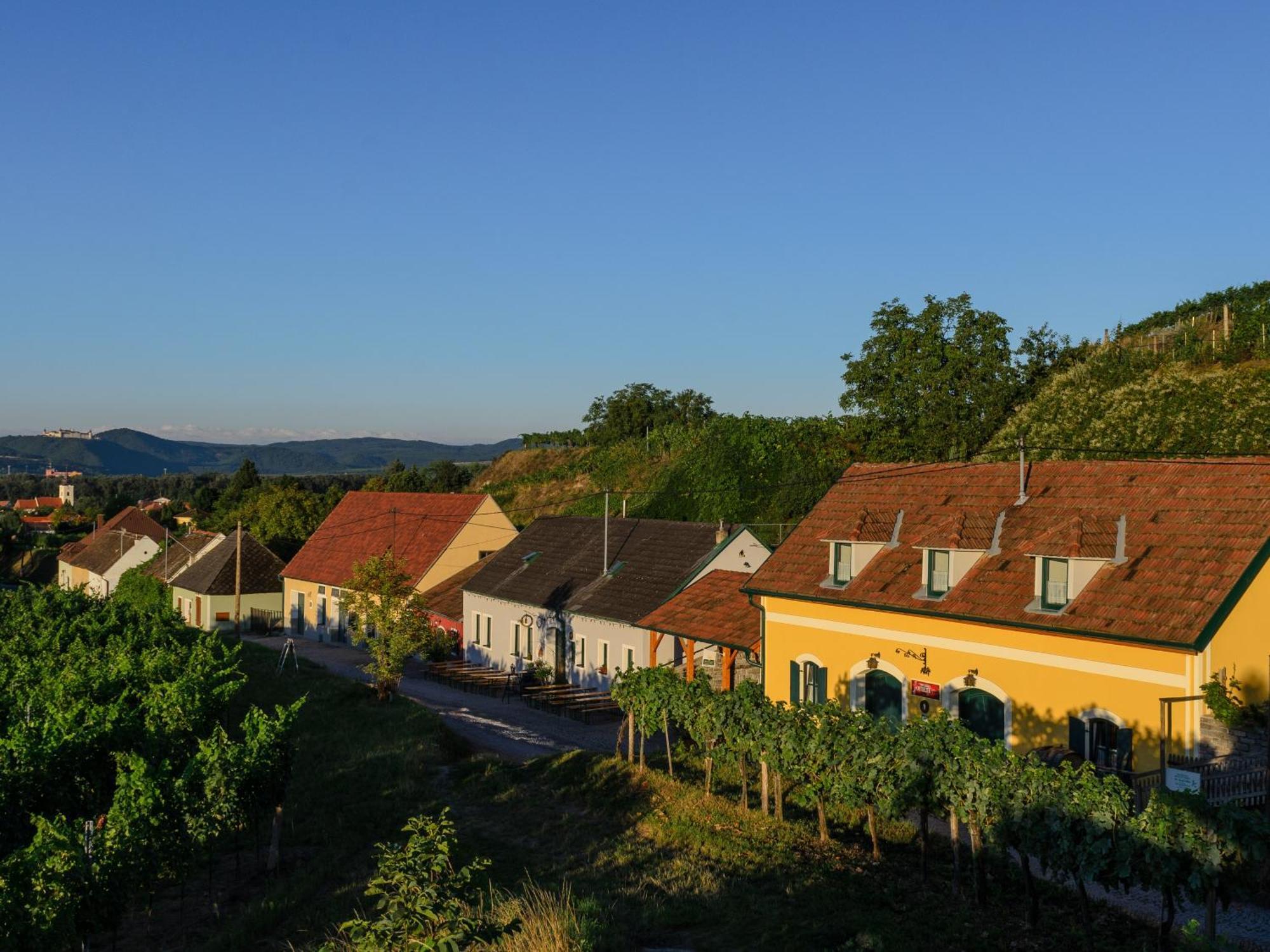 Ferienwohnung Weinbergblick Rohrendorf bei Krems Exteriér fotografie